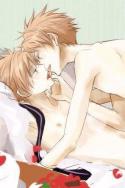 88583_hitachiinyaoi-hikaru-x-kaoru-twincest-15133069-295-446_large.