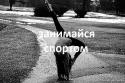 88741_gN2tTilI2fY.
