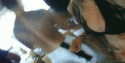 8877_225kiss.