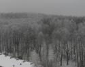 88780_Les_31_dekabrya_.