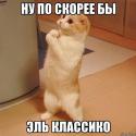 88802_7435orl5k6n.