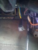 8884Foto0007.