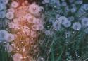 8895_x_7dd76d55.