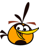 88988_Orange_3.