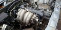 89042_8693875niogrilmotasinro16670605.