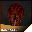 89077_barnacle.