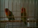 89081_IMAG0004.