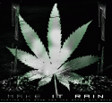 89155_make-it-rain.