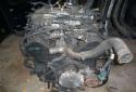 89204_5505349repargiawapetwins10868266.