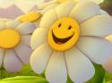 89352_image.