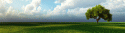 89352_nice-fon3.