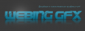 8951webingg.