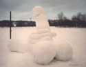 8959snow_cock.