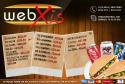 8966_Web_Xis_Flyer.