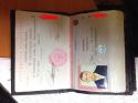 89687_image.