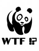 8979180px-Panda_wtf.