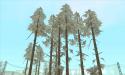 90030_DLC_Call_of_Juarez_Firs_1_WS_002.