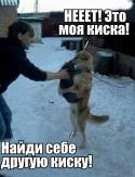 90038_dQ_S0srfvis.