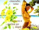 90080_2e8f3_74aa9367_XL.