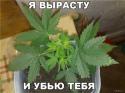 90086_oyPDkYn2gBc.