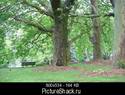 9013IMG_0459.