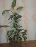 90168_Foto-0579.