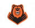 90243_molot_logo.