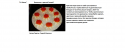 90351_Bezymyannyi.