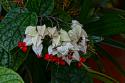 90491_027hdr.