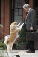 90565_kinopoisk_ru-Hachi_3A-A-Dog_27s-Tale-1047762.