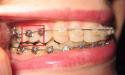 9058IMG_2861.