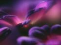 90640_mini_flora_01_0044.