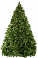 90699_XmasTree6.