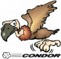 9071condor_logo.