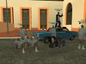 90774_gallery6.