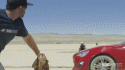 90805_976246_orig_.