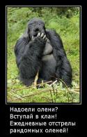 90834_1345007330_facepalm_gorilla.