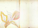 90883_3_50_vikyvampirs90.