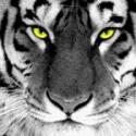 90927_99px_ru_avatar_98501_150x150.