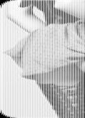 9094title531588125.