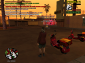 91051_sa-mp-019.