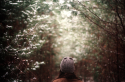 9107_tumblr_inline_mf9s4eUJin1qclyme.