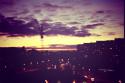 91126_GFRANQ_VITUYSHA_25267865_LEAFFALL.