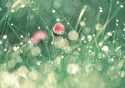 91157_rainning.