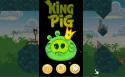 91249_King_pig543.