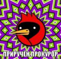 91373_omsk21.