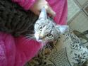 91398_Foto0117.