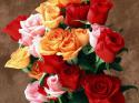 91998_e66daa90ba1a1a56cace4cd9f5d4eb26.