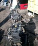92290_2662360kierabrevivicomp11008738.