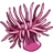 9252SeaCreatures_Anemone-icon.